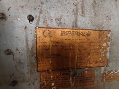 Imperial Salamander - Image 5